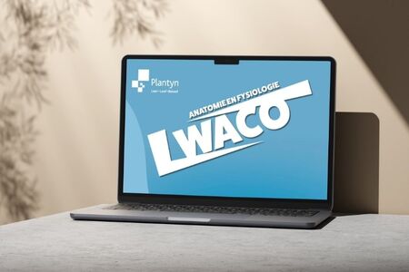 Aan de slag met WACO Anatomie en fysiologie